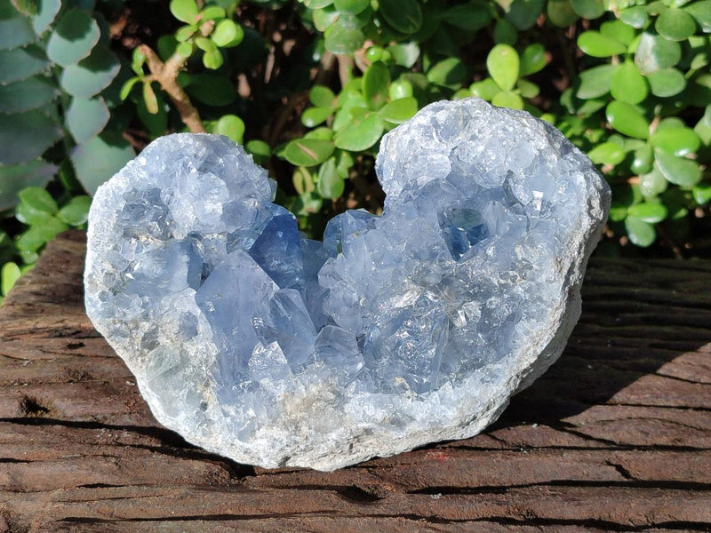 Natural Large Blue Celestite Specimen x 1 From Sakoany, Madagascar - Toprock Gemstones and Minerals 