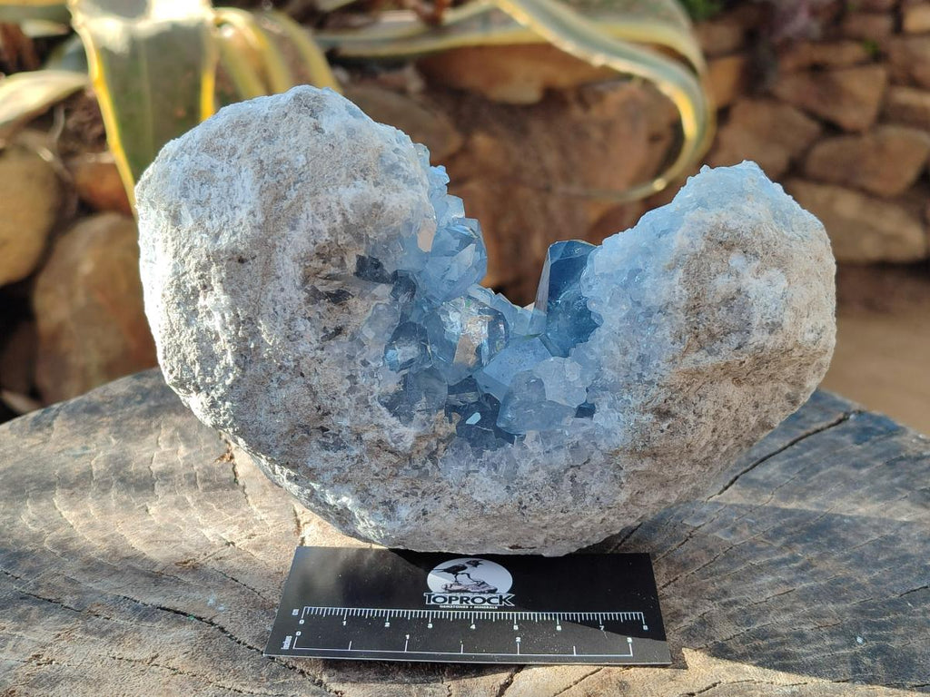 Natural Large Blue Celestite Specimen x 1 From Sakoany, Madagascar - Toprock Gemstones and Minerals 