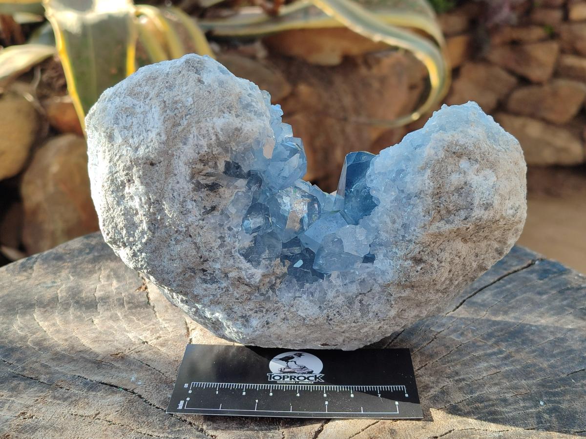 Natural Large Blue Celestite Specimen x 1 From Sakoany, Madagascar - Toprock Gemstones and Minerals 