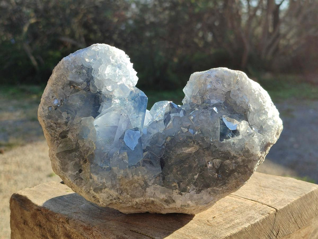 Natural Large Blue Celestite Specimen x 1 From Sakoany, Madagascar - Toprock Gemstones and Minerals 