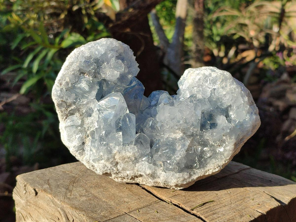 Natural Large Blue Celestite Specimen x 1 From Sakoany, Madagascar - Toprock Gemstones and Minerals 