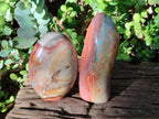 Polished Polychrome Jasper Standing Display Pieces x 2 From Androka, Madagascar - Toprock Gemstones and Minerals 