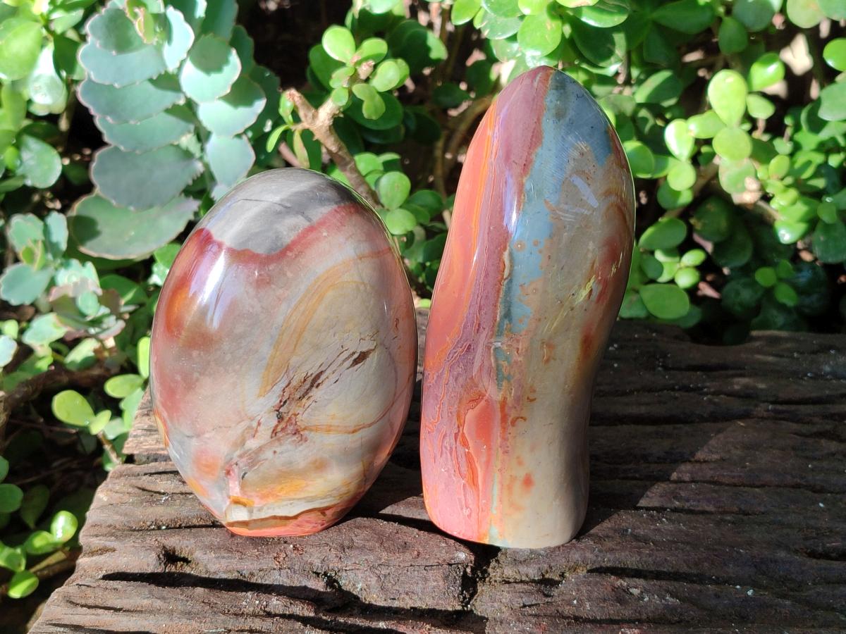 Polished Polychrome Jasper Standing Display Pieces x 2 From Androka, Madagascar - Toprock Gemstones and Minerals 