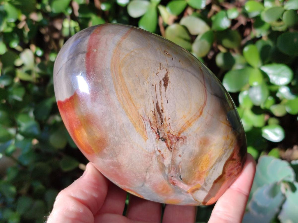Polished Polychrome Jasper Standing Display Pieces x 2 From Androka, Madagascar - Toprock Gemstones and Minerals 