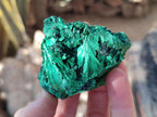 Natural Silky Malachite Specimens x 8 From Kasompe, Congo - Toprock Gemstones and Minerals 