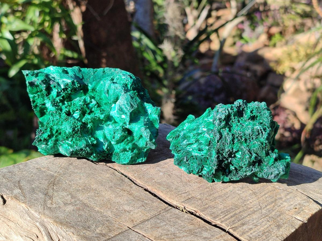 Natural Silky Malachite Specimens x 8 From Kasompe, Congo - Toprock Gemstones and Minerals 