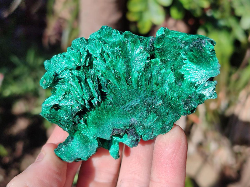 Natural Silky Malachite Specimens x 8 From Kasompe, Congo - Toprock Gemstones and Minerals 