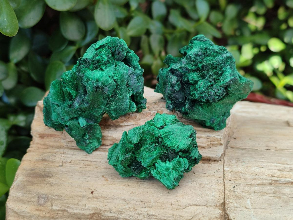 Natural Silky Malachite Specimens x 8 From Kasompe, Congo - Toprock Gemstones and Minerals 