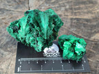 Natural Silky Malachite Specimens x 8 From Kasompe, Congo - Toprock Gemstones and Minerals 
