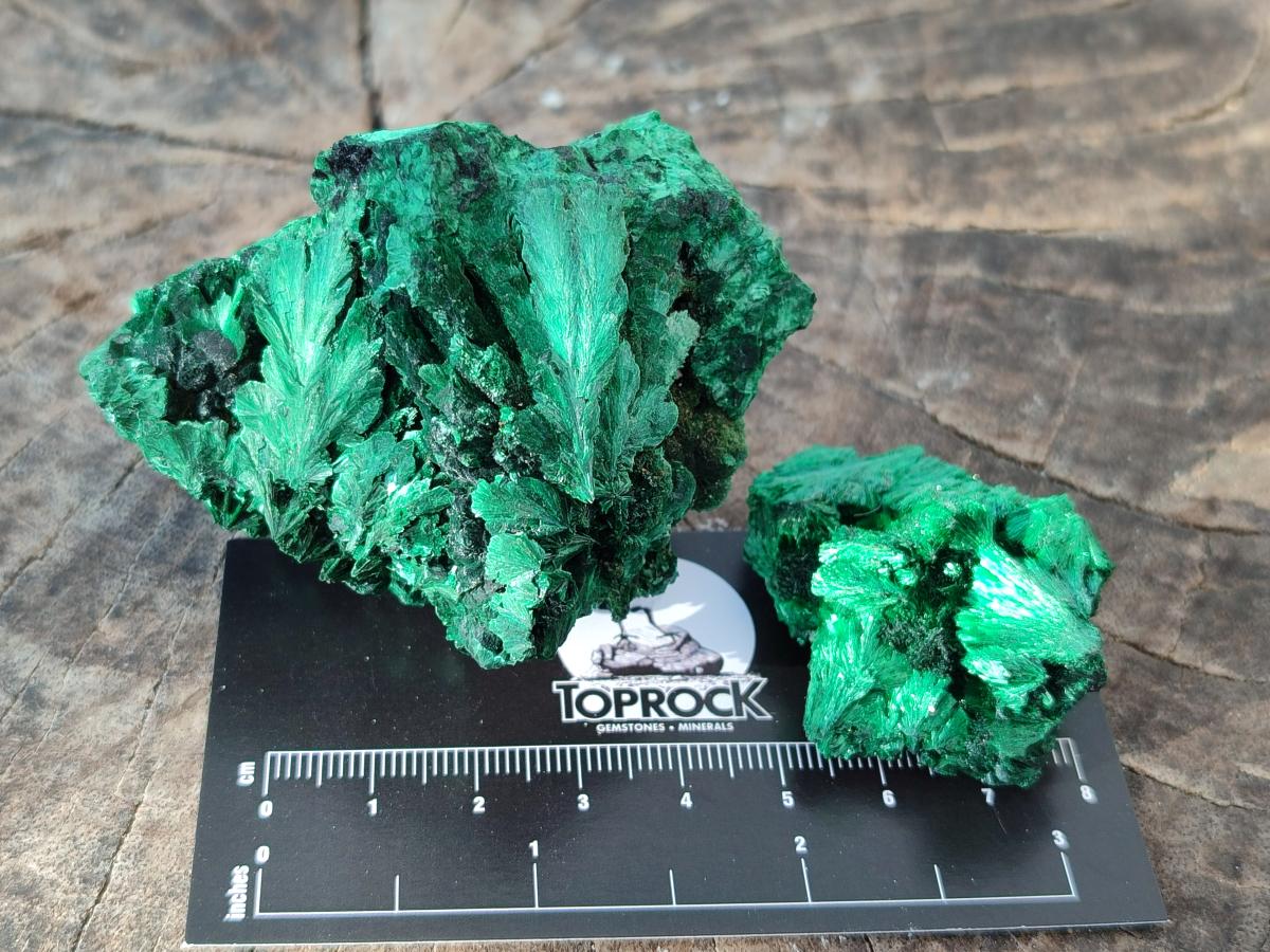 Natural Silky Malachite Specimens x 8 From Kasompe, Congo - Toprock Gemstones and Minerals 