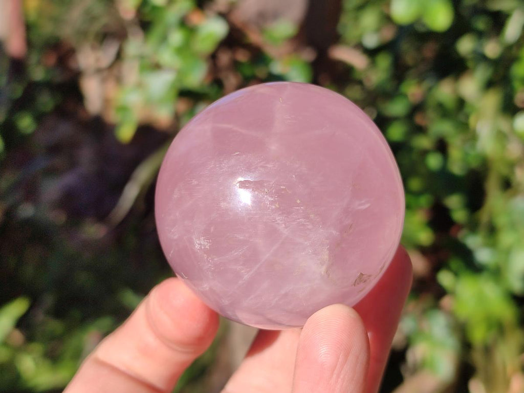 Polished Gemmy Star Rose Quartz Spheres x 4 From Madagascar - Toprock Gemstones and Minerals 