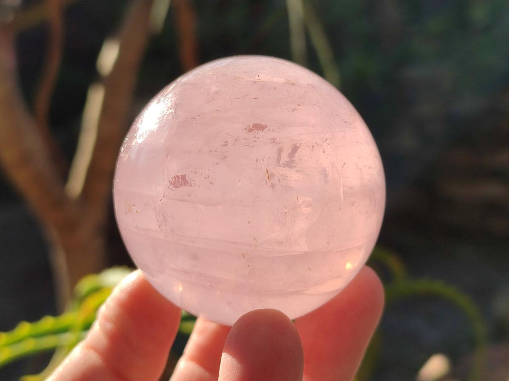 Polished Gemmy Star Rose Quartz Spheres x 4 From Madagascar - Toprock Gemstones and Minerals 