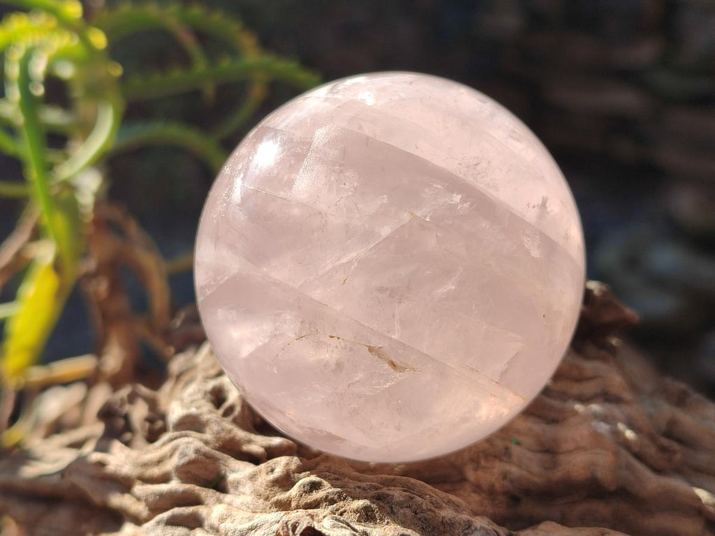 Polished Gemmy Star Rose Quartz Spheres x 4 From Madagascar - Toprock Gemstones and Minerals 
