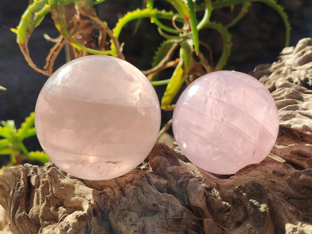 Polished Gemmy Star Rose Quartz Spheres x 4 From Madagascar - Toprock Gemstones and Minerals 