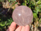Polished Gemmy Star Rose Quartz Spheres x 4 From Madagascar - Toprock Gemstones and Minerals 