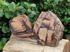 Natural Nguni Jasper Cobbed Specimens x 12 From Northern Cape, South Africa - Toprock Gemstones and Minerals 