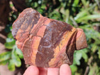 Natural Nguni Jasper Cobbed Specimens x 12 From Northern Cape, South Africa - Toprock Gemstones and Minerals 