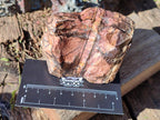 Natural Nguni Jasper Cobbed Specimens x 12 From Northern Cape, South Africa - Toprock Gemstones and Minerals 