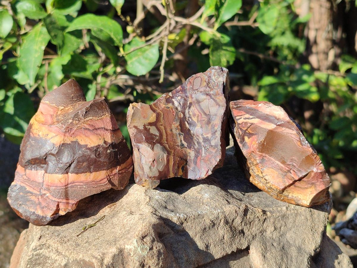 Natural Nguni Jasper Cobbed Specimens x 12 From Northern Cape, South Africa - Toprock Gemstones and Minerals 