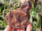 Natural Nguni Jasper Cobbed Specimens x 12 From Northern Cape, South Africa - Toprock Gemstones and Minerals 