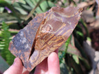 Natural Nguni Jasper Cobbed Specimens x 12 From Northern Cape, South Africa - Toprock Gemstones and Minerals 