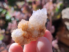 Natural Spirit Quartz Crystals x 70 From Boekenhouthoek, South Africa - Toprock Gemstones and Minerals 