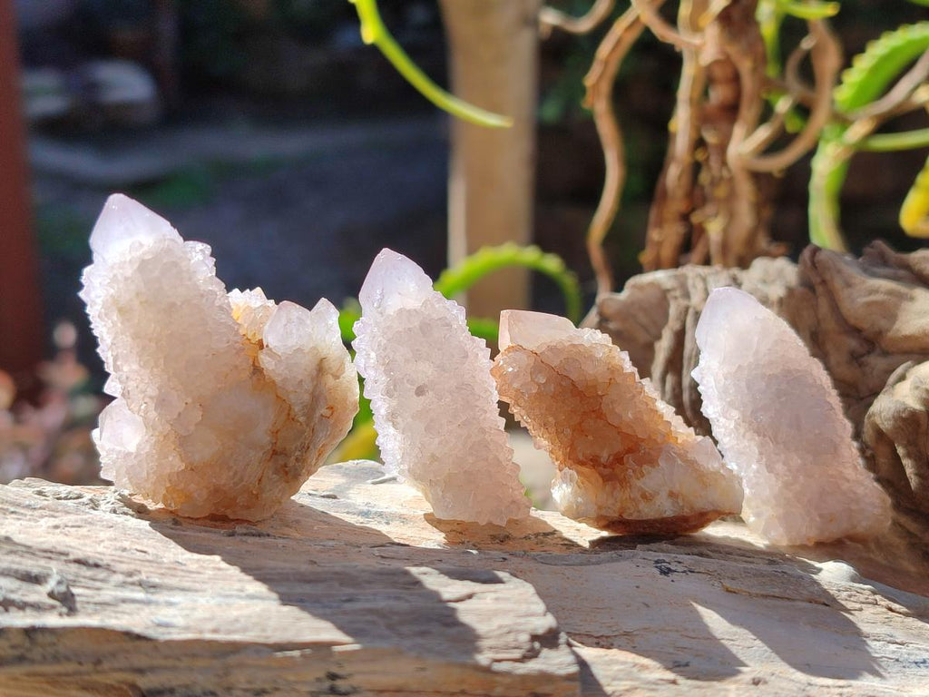 Natural Spirit Quartz Crystals x 70 From Boekenhouthoek, South Africa - Toprock Gemstones and Minerals 
