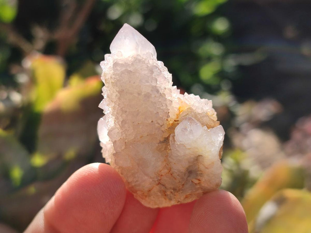 Natural Spirit Quartz Crystals x 70 From Boekenhouthoek, South Africa - Toprock Gemstones and Minerals 