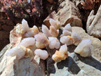 Natural Spirit Quartz Crystals x 70 From Boekenhouthoek, South Africa - Toprock Gemstones and Minerals 