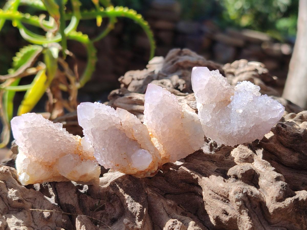 Natural Spirit Quartz Crystals x 70 From Boekenhouthoek, South Africa - Toprock Gemstones and Minerals 