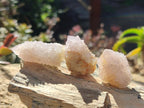 Natural Spirit Quartz Crystals x 70 From Boekenhouthoek, South Africa - Toprock Gemstones and Minerals 
