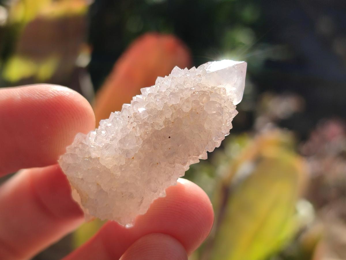 Natural Spirit Quartz Crystals x 70 From Boekenhouthoek, South Africa - Toprock Gemstones and Minerals 