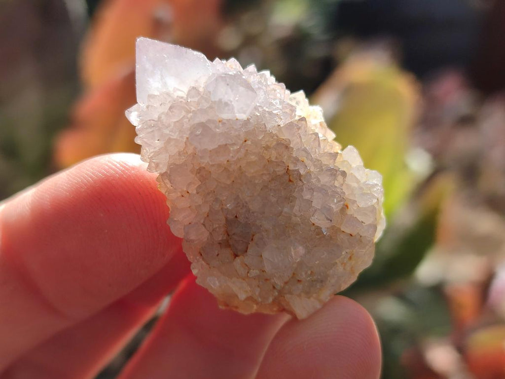 Natural Spirit Quartz Crystals x 70 From Boekenhouthoek, South Africa - Toprock Gemstones and Minerals 