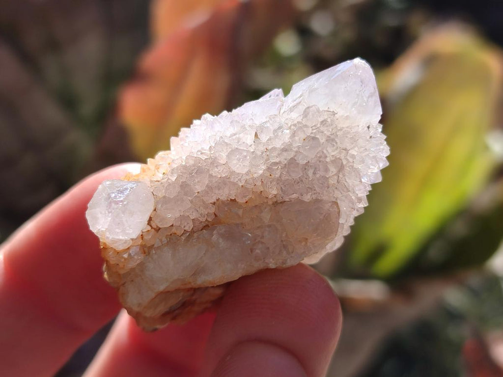 Natural Spirit Quartz Crystals x 70 From Boekenhouthoek, South Africa - Toprock Gemstones and Minerals 