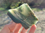 Polished One Side Great Dyke Mtorolite Chrysoprase Slices x 15 From Great Dyke Mountain Range, Zimbabwe - Toprock Gemstones and Minerals 