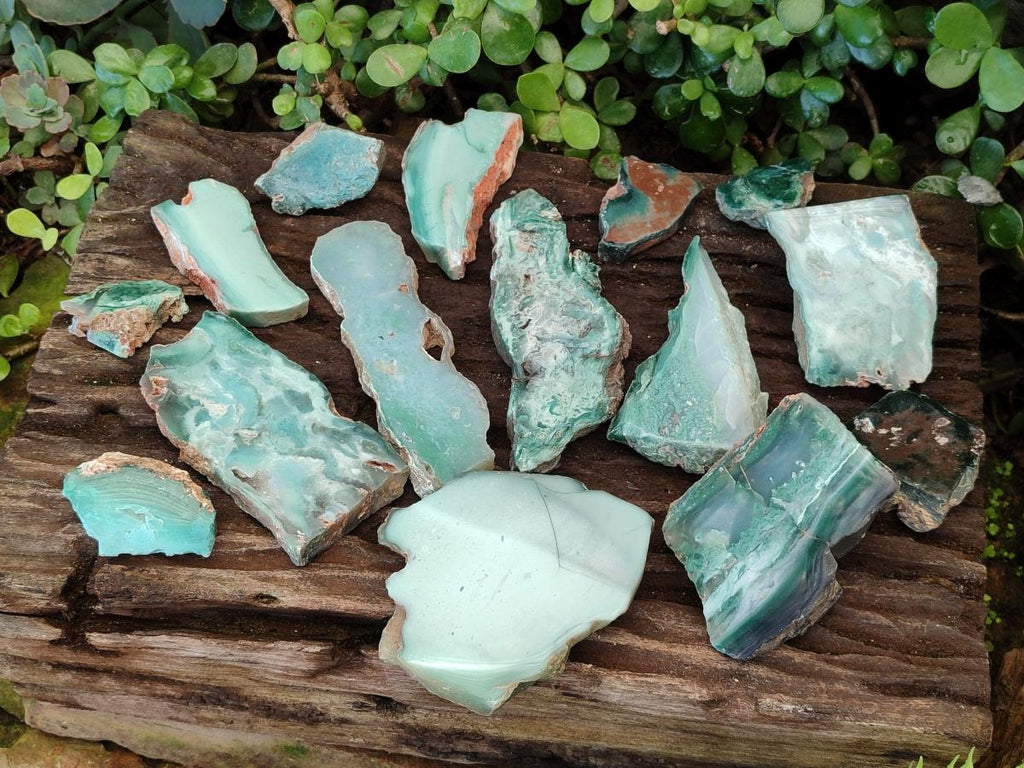 Polished One Side Great Dyke Mtorolite Chrysoprase Slices x 15 From Great Dyke Mountain Range, Zimbabwe - Toprock Gemstones and Minerals 