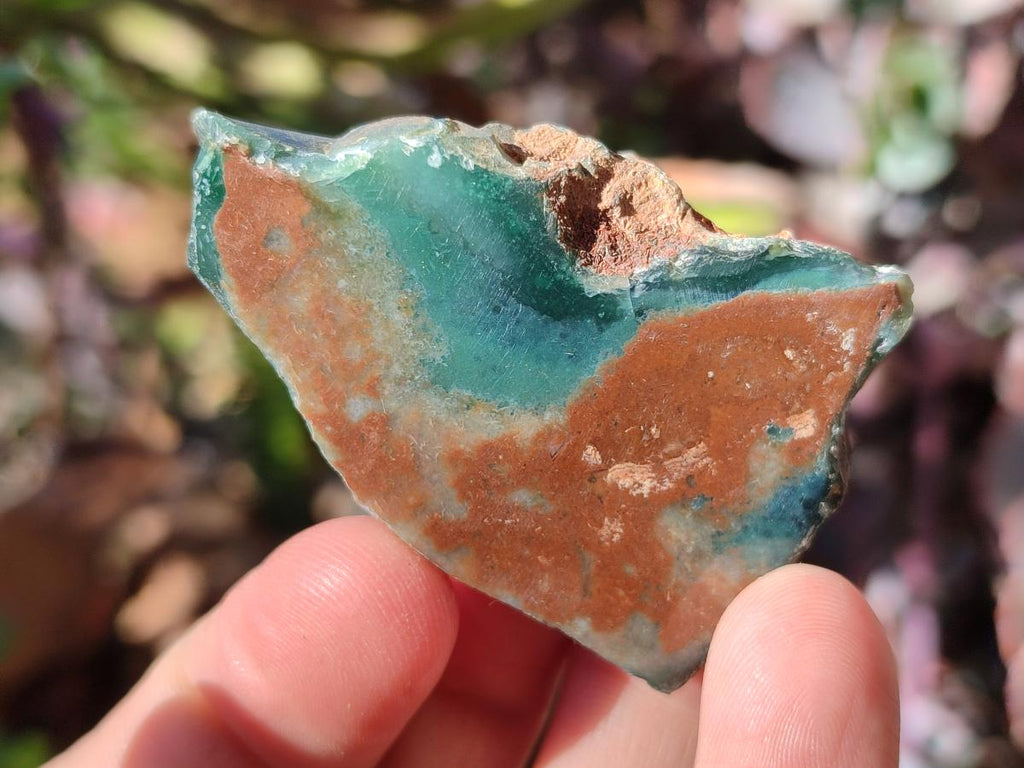 Polished One Side Great Dyke Mtorolite Chrysoprase Slices x 15 From Great Dyke Mountain Range, Zimbabwe - Toprock Gemstones and Minerals 