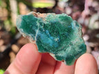 Polished One Side Great Dyke Mtorolite Chrysoprase Slices x 15 From Great Dyke Mountain Range, Zimbabwe - Toprock Gemstones and Minerals 