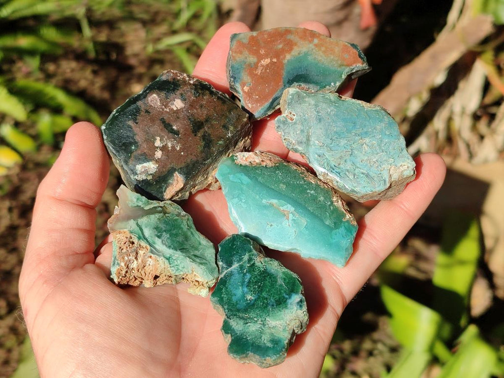 Polished One Side Great Dyke Mtorolite Chrysoprase Slices x 15 From Great Dyke Mountain Range, Zimbabwe - Toprock Gemstones and Minerals 