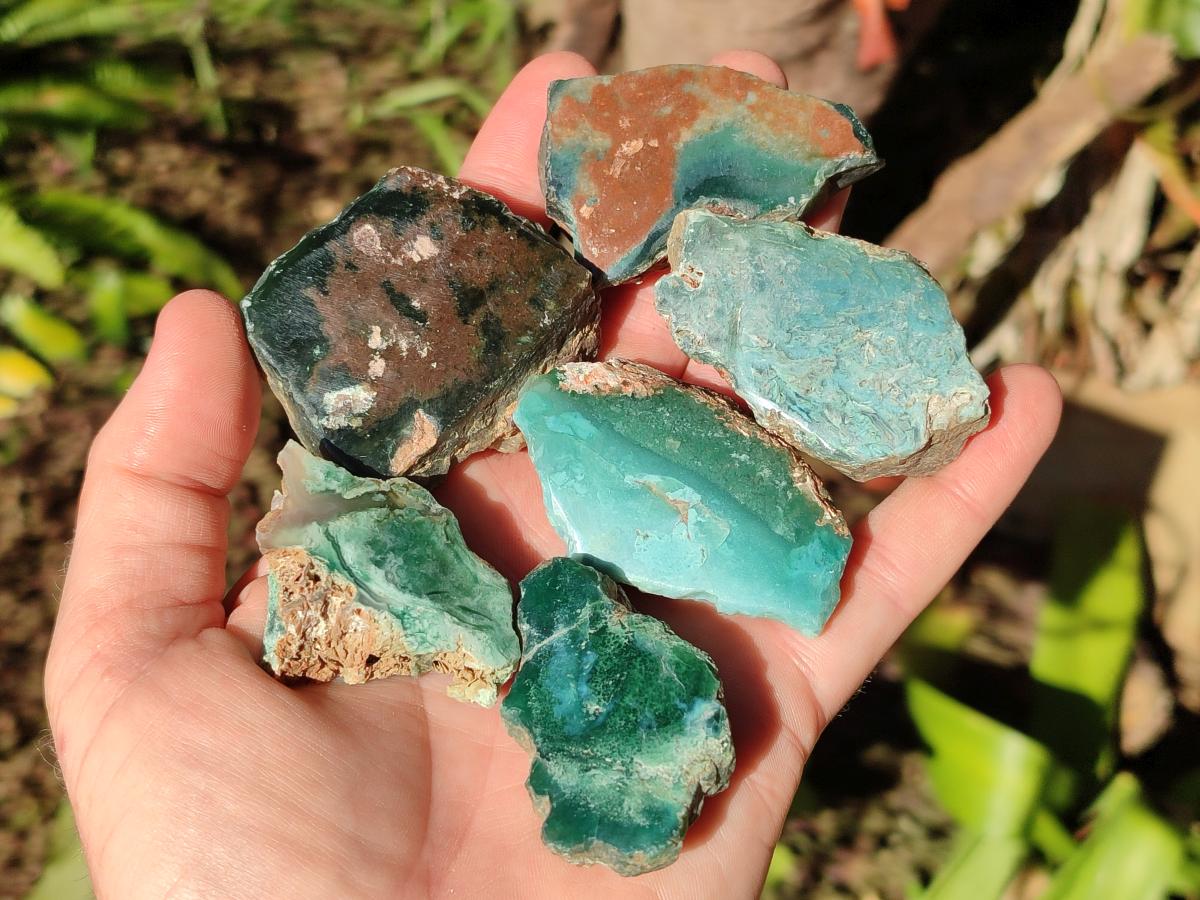 Polished One Side Great Dyke Mtorolite Chrysoprase Slices x 15 From Great Dyke Mountain Range, Zimbabwe - Toprock Gemstones and Minerals 