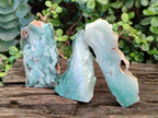 Polished One Side Great Dyke Mtorolite Chrysoprase Slices x 15 From Great Dyke Mountain Range, Zimbabwe - Toprock Gemstones and Minerals 