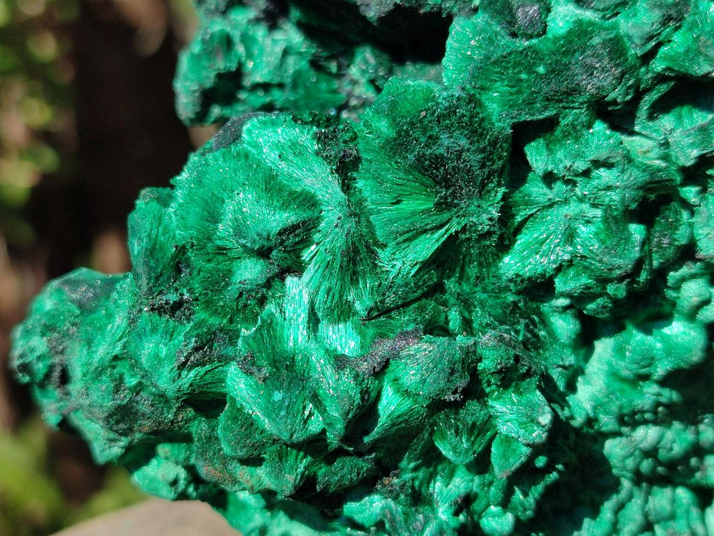Natural Large Silky Malachite Specimen x 1 From Kasompe, Congo - Toprock Gemstones and Minerals 