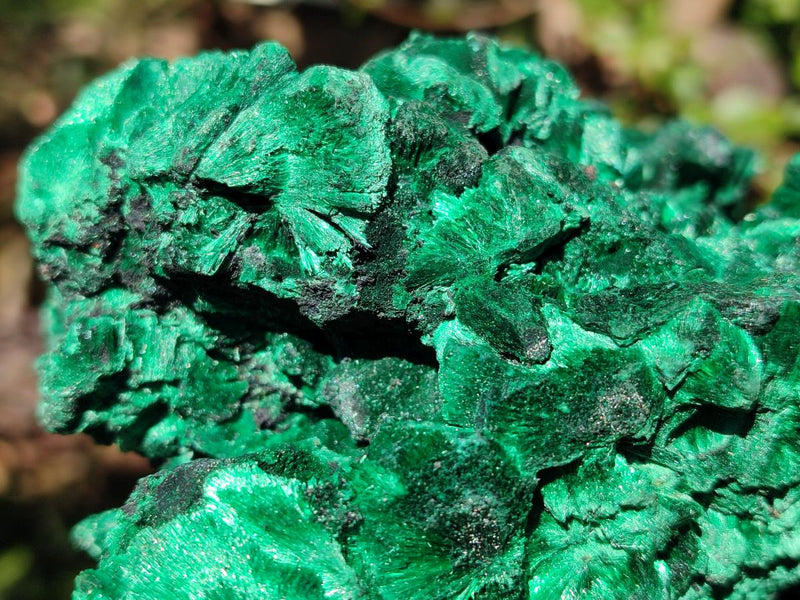 Natural Large Silky Malachite Specimen x 1 From Kasompe, Congo - Toprock Gemstones and Minerals 