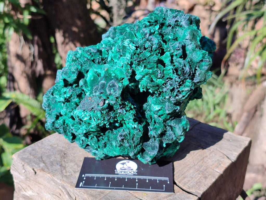Natural Large Silky Malachite Specimen x 1 From Kasompe, Congo - Toprock Gemstones and Minerals 