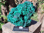 Natural Large Silky Malachite Specimen x 1 From Kasompe, Congo - Toprock Gemstones and Minerals 