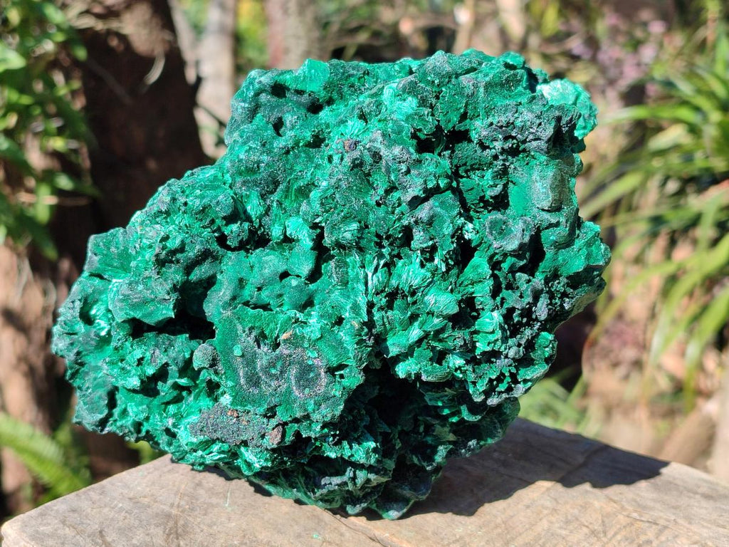 Natural Large Silky Malachite Specimen x 1 From Kasompe, Congo - Toprock Gemstones and Minerals 