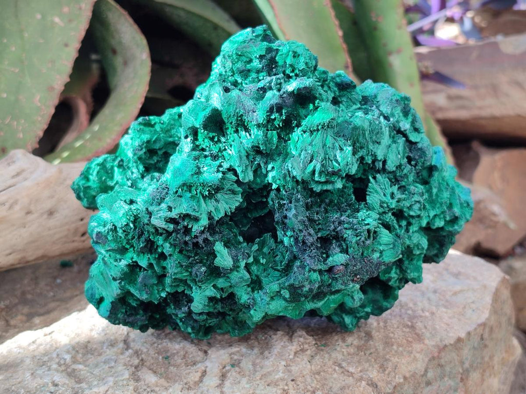 Natural Large Silky Malachite Specimen x 1 From Kasompe, Congo - Toprock Gemstones and Minerals 