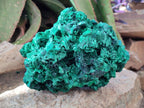 Natural Large Silky Malachite Specimen x 1 From Kasompe, Congo - Toprock Gemstones and Minerals 