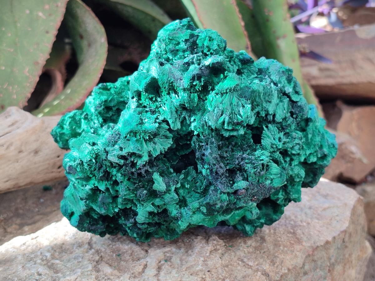 Natural Large Silky Malachite Specimen x 1 From Kasompe, Congo - Toprock Gemstones and Minerals 