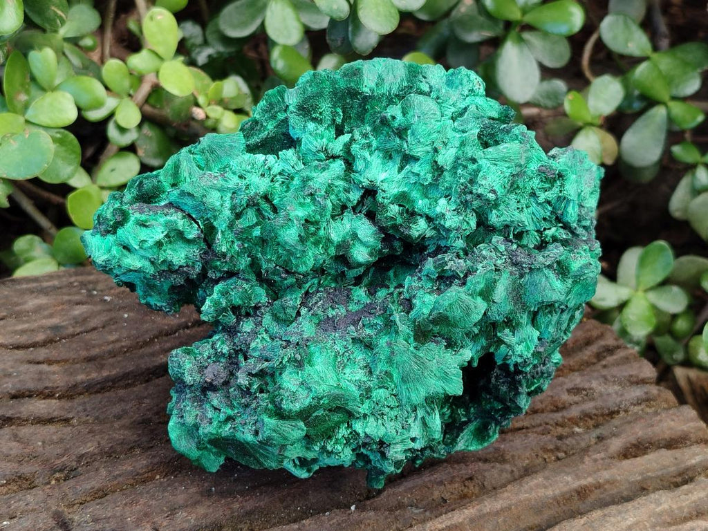 Natural Large Silky Malachite Specimen x 1 From Kasompe, Congo - Toprock Gemstones and Minerals 